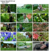 Gardeners' World 2019 E31 (1280x720p HD, 50fps, soft Eng subs)