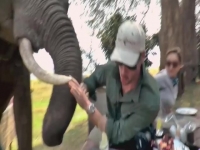 Nature Gone Wild S01E04 480p x264-mSD EZTV Nature Gone Wild S01E04 480p x264-mSD EZTV