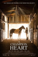 A Horse from Heaven 2018 WEB-DL x264-FGT