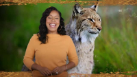Wild Child S04E05 XviD-AFG EZTV