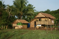 Organic farm and gardening tips