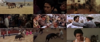 The Moment of Truth 1965 1080p BluRay x264-SADPANDA