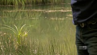 Matt Wrights Wild Territory S01E05 XviD-AFG EZTV