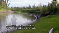 Alone S11E01 XviD-AFG EZTV Alone S11E01 XviD-AFG EZTV