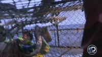 Deadliest Catch S13E09 PROPER HDTV x264-W4F[eztv]