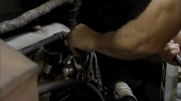 American Pickers S19E18 WEB h264-TBS [eztv]