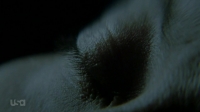 Falling Water S01E10 720p HDTV x264-FLEET[eztv]