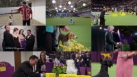 7 Days Out S01E01 720p WEB X264-INFLATE