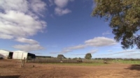 Bondi Vet S06E16 WEB x264-GIMINI [eztv]