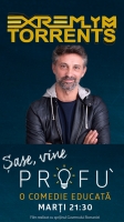 Profu S01E03 1080i HDTV h264-ExtremlymTorrents