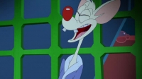 Animaniacs 2020 S01E01 XviD-AFG EZTV Animaniacs 2020 S01E01 XviD-AFG EZTV