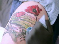 Ink Master S15E09 480p x264-mSD EZTV Ink Master S15E09 480p x264-mSD EZTV