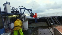 Deadliest Catch S19E14 720p WEB h264-CBFM EZTV Deadliest Catch S19E14 720p WEB h264-CBFM EZTV