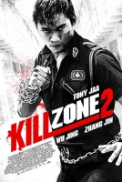 Kill Zone 2015 x264 720p Esub BluRay Dual Audio Hindi GOPISAHI