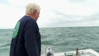 Wicked Tuna S10E12 720p HEVC x265-MeGusta EZTV Wicked Tuna S10E12 720p HEVC x265-MeGusta EZTV
