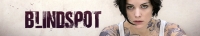 Blindspot S04E20 XviD-AFG[TGx]