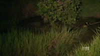 Matt Wrights Wild Territory S01E04 1080p HEVC x265-MeGusta EZTV