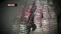 Snapped S29E20 XviD-AFG EZTV