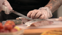 Chopped S60E06 1080p WEB h264-FREQUENCY EZTV Chopped S60E06 1080p WEB h264-FREQUENCY EZTV