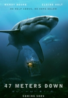 47 Meters Down 2017 BRRip 1080p Dual Audio In Hindi English 47 Meters Down 2017 BRRip 1080p Dual Audio In Hindi English