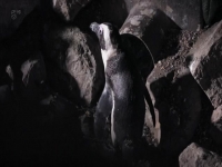 Animals After Dark S01E03 480p x264-mSD [eztv]