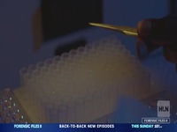 Forensic Files II S02E05 Heavy Metal 480p x264-mSD EZTV