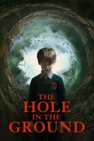 The Hole In The Ground 2019 DVDRip x264-LPD[TGx]