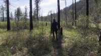 Alone S05E02 720p WEB h264-TBS[eztv]