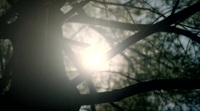 Wild Crime S02 WEBRip x264-ION10 EZTV Wild Crime S02 WEBRip x264-ION10 EZTV