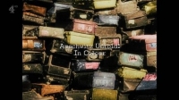 Ch4 Auschwitz Untold In Colour 1080p HDTV x265 AAC MVGroup