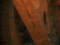Gold Rush S09E10 480p x264-mSD [eztv]