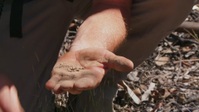 Aussie Gold Hunters S06E17 1080p HEVC x265-MeGusta EZTV