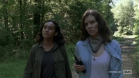 The Walking Dead S09E03 XviD-AFG [eztv]