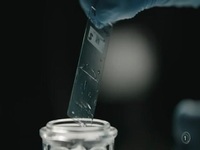 Cold Case NZ S02E07 480p x264-mSD EZTV