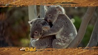 Wild Child S02E11 XviD-AFG EZTV Wild Child S02E11 XviD-AFG EZTV
