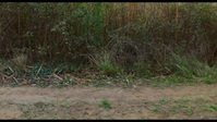 800 Meters S01E03 720p HEVC x265-MeGusta EZTV