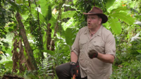 Expedition Unknown S13E02 XviD-AFG EZTV