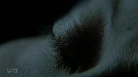 Falling Water S01E10 HDTV x264-FLEET[eztv]
