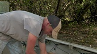 Swamp People S14E06 XviD-AFG EZTV