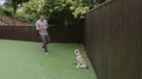 Lucky Dog S07E13 Lilo WEB x264-LiGATE [eztv]