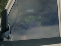 Brassic S02E02 480p x264-mSD [eztv]