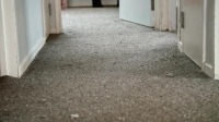 Renters S11E06 XviD-AFG EZTV Renters S11E06 XviD-AFG EZTV