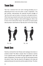 Beginning Wing Chun - Why Wing Chun Works Beginning Wing Chun - Why Wing Chun Works