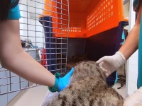 Inside Taronga Zoo S01E08 480p x264-mSD EZTV