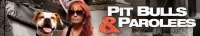 Pit Bulls and Parolees S17E01 200th Episode 480p x264-mSD[TGx]