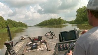 Swamp People S13E13 XviD-AFG EZTV