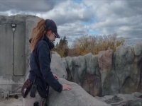 Arctic Vets S01E06 480p x264-mSD EZTV Arctic Vets S01E06 480p x264-mSD EZTV