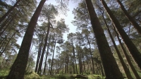 BBC Springwatch 2016 04of15 1080p HDTV x264 AAC EZTV