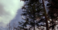 Laurin (1989) [BluRay] [1080p] [YTS] [YIFY]