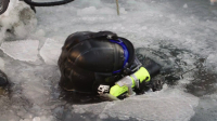 Bering Sea Gold S18E09 1080p HEVC x265-MeGusta EZTV